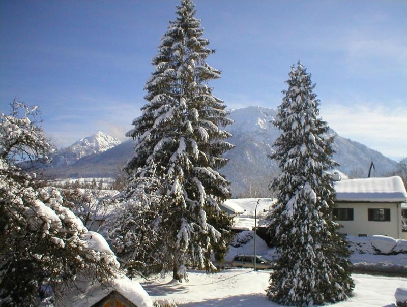 Gaestehaus Berger Inkl. Chiemgaukarte Ruhpolding Kültér fotó